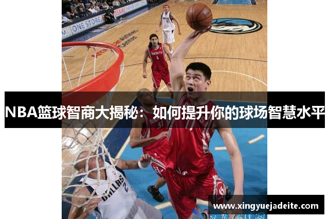 NBA篮球智商大揭秘：如何提升你的球场智慧水平