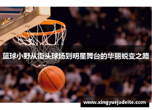 篮球小野从街头球场到明星舞台的华丽蜕变之路