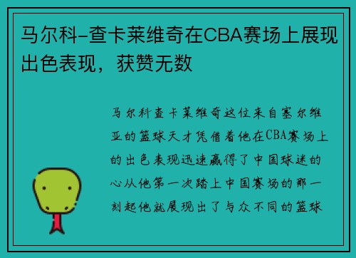马尔科-查卡莱维奇在CBA赛场上展现出色表现，获赞无数